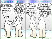 SNOWFLAKES. AND POALR BEARS