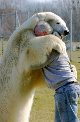 BEAR HUG