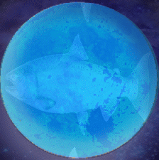 BLUE FISH MOON