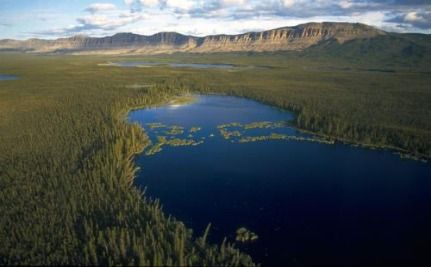 BOREAL FOREST, CANADA