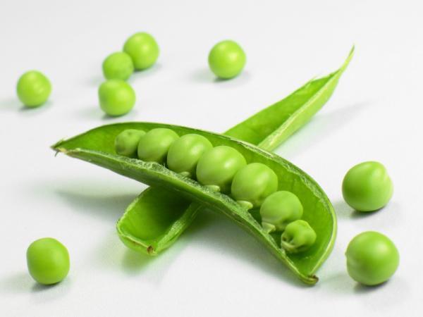GIVE PEAS A CHANCE